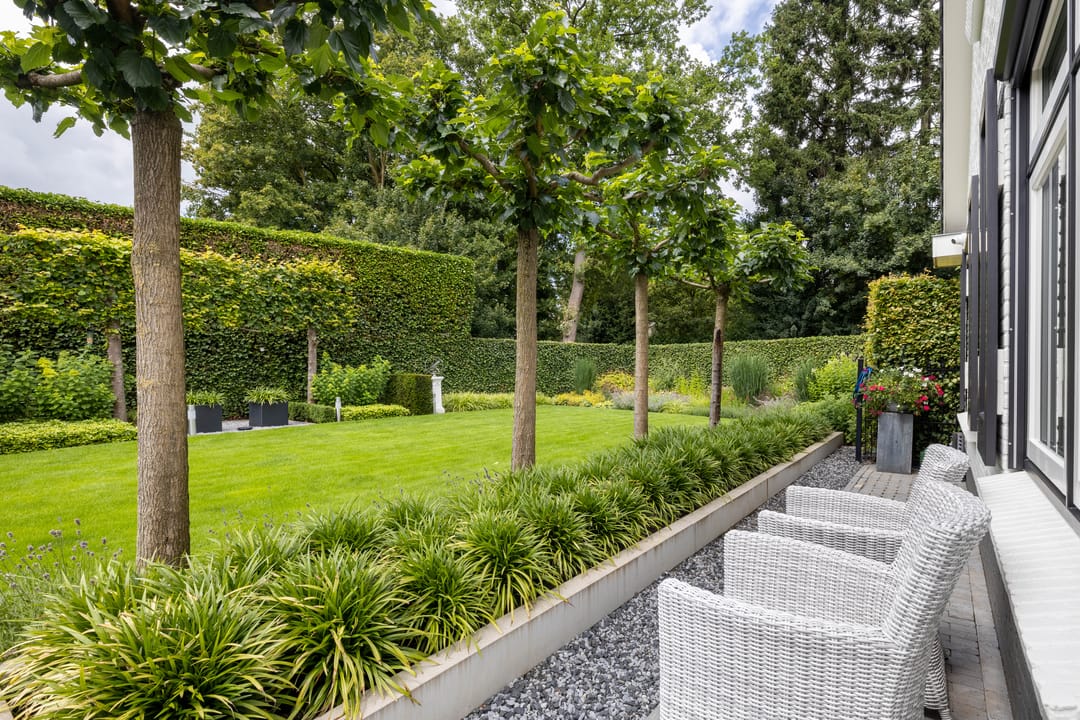 Foto 26 van Laan van Biel 5