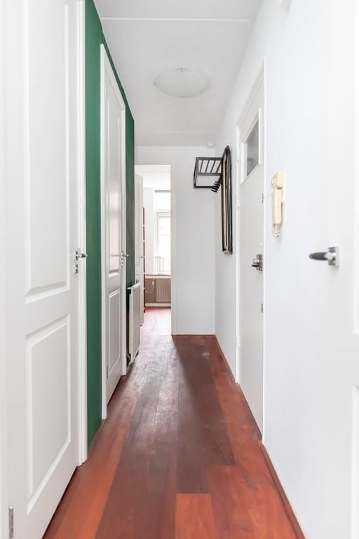 Foto 12 van Egelantiersgracht 452