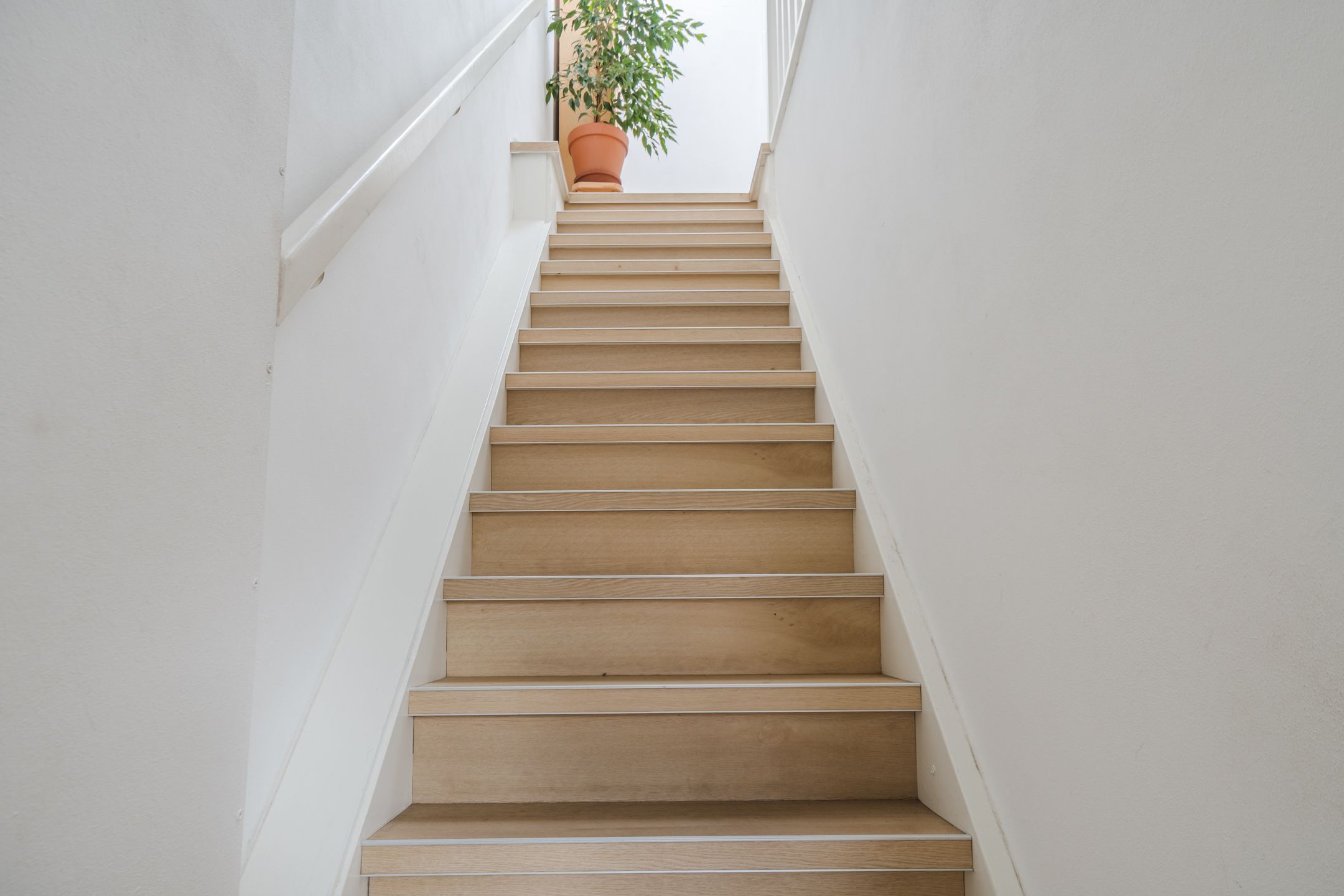 Foto 15 van Zijde 296