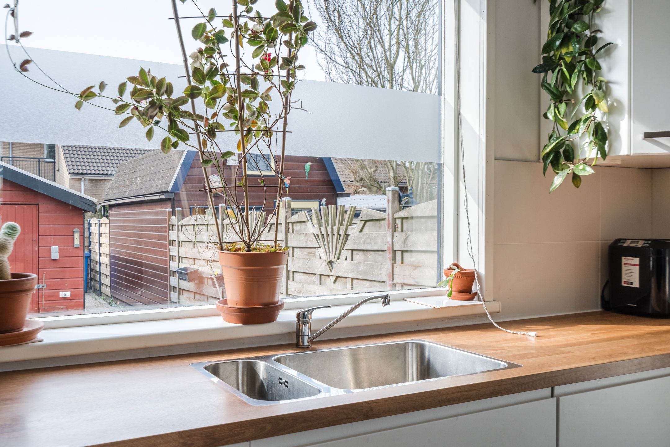 Foto 12 van Zijde 296