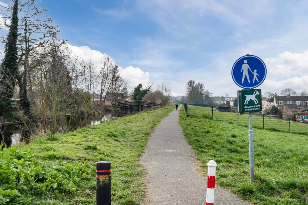 Foto 46 van Zijde 296