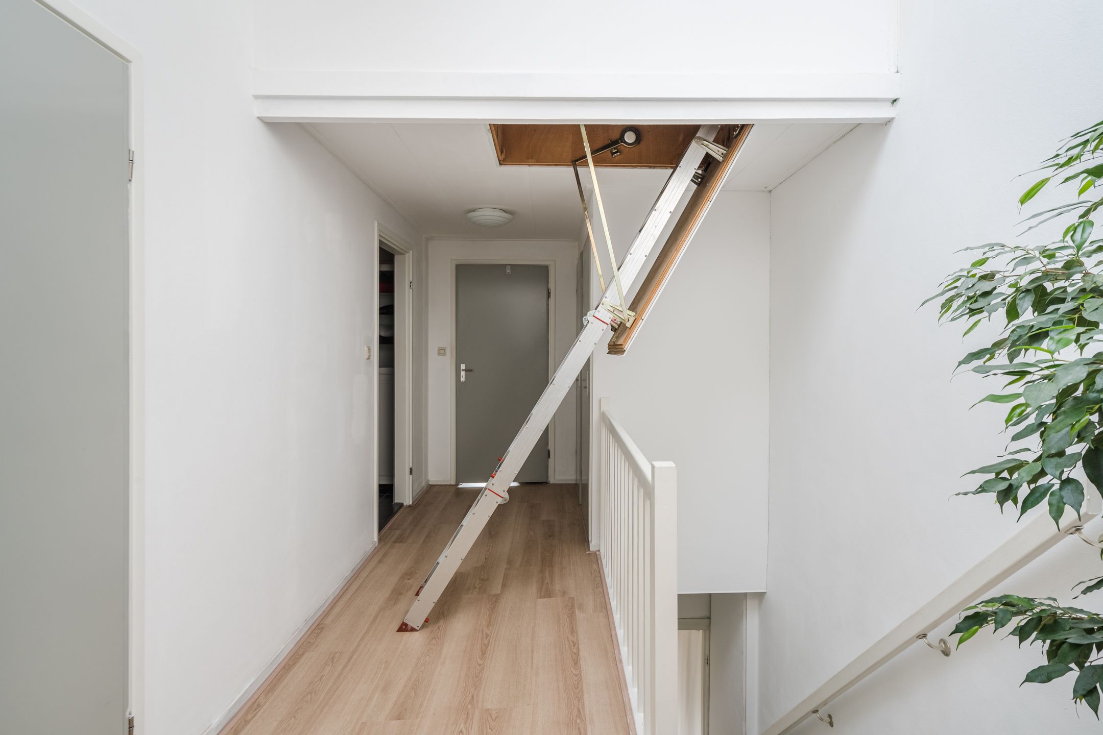 Foto 18 van Zijde 296