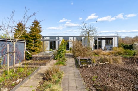 Titus Brandsmalaan thumbnail