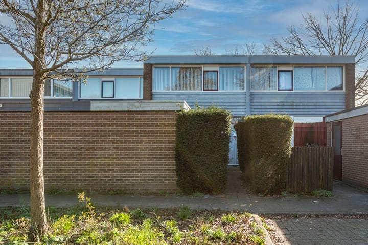 Herbergiershorst 206