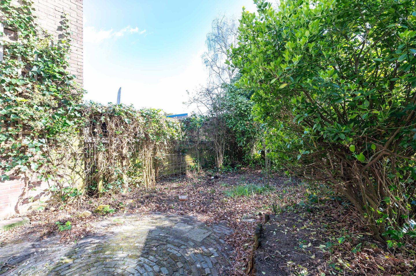 Foto 14 van Herbergiershorst 206