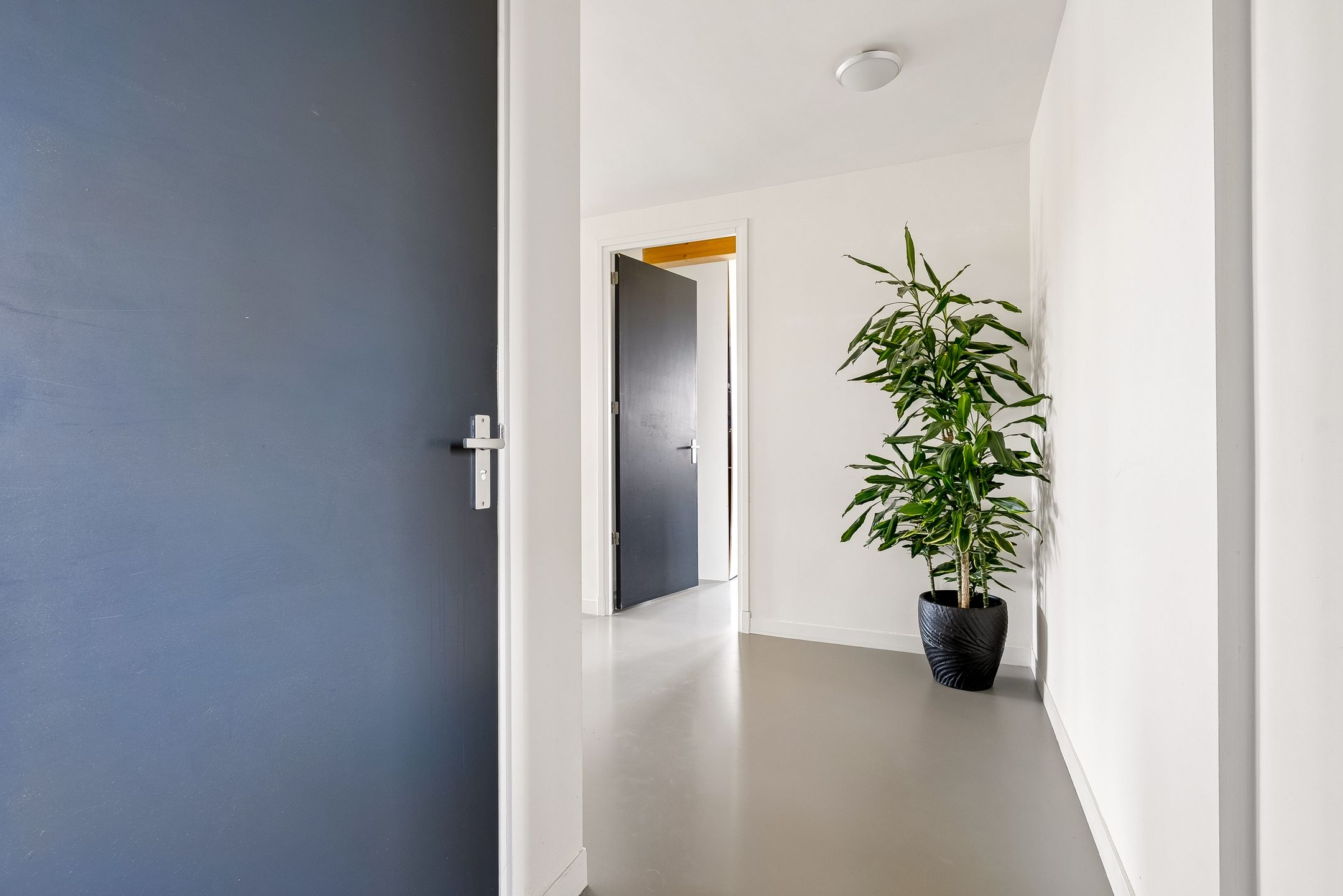 Photo 33 of Titus Brandsmalaan 43