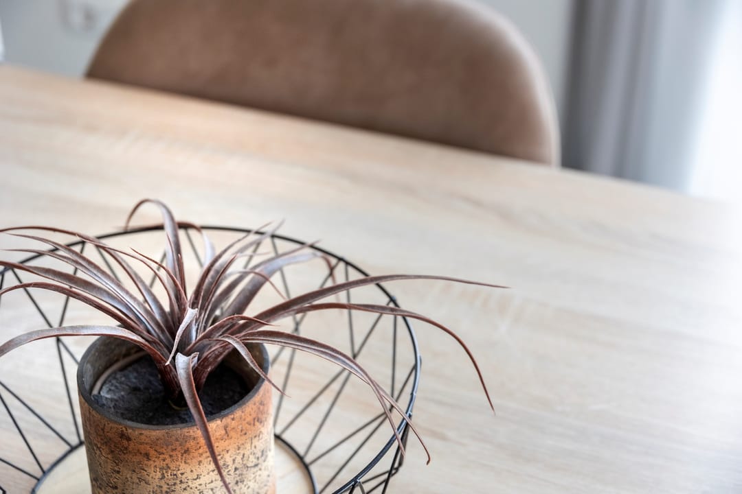 Photo 22 of Ridderstee 106