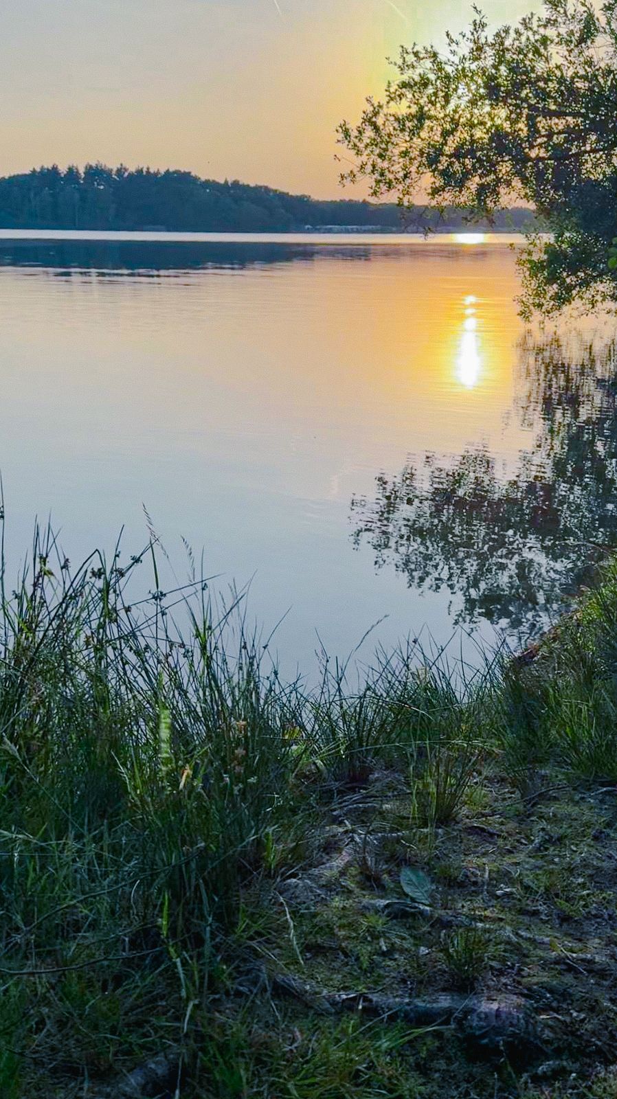 Foto 23 van Dorperheideweg 34-2214