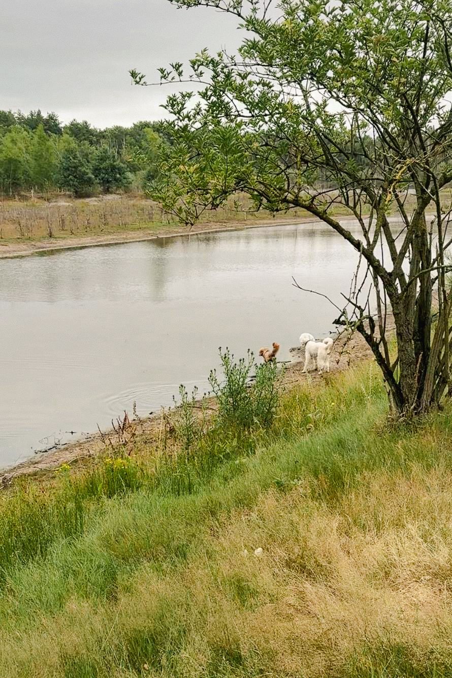 Foto 24 van Dorperheideweg 34-2214