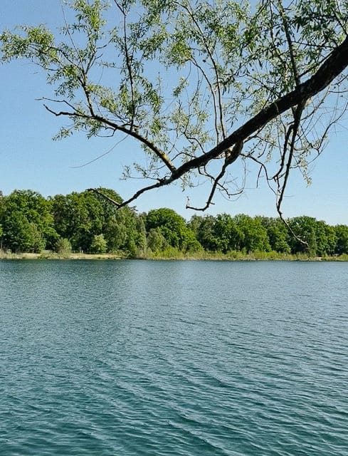 Foto 25 van Dorperheideweg 34-2214