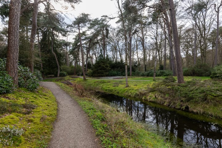 Photo 2 of van Oosthuyselaan 69