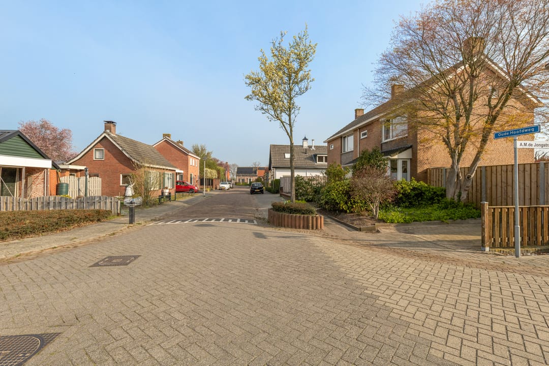 Corner house with spacious garden, two driveways and garage in Zegge — 45