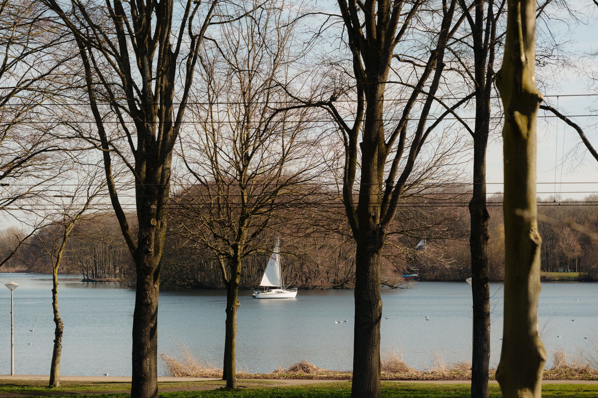 Photo 18 of Meer en Vaart 310