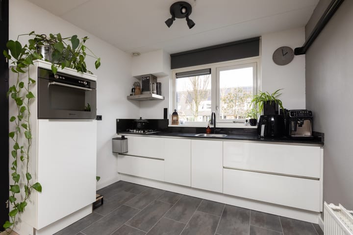 Photo 3 of Zandoogje 8