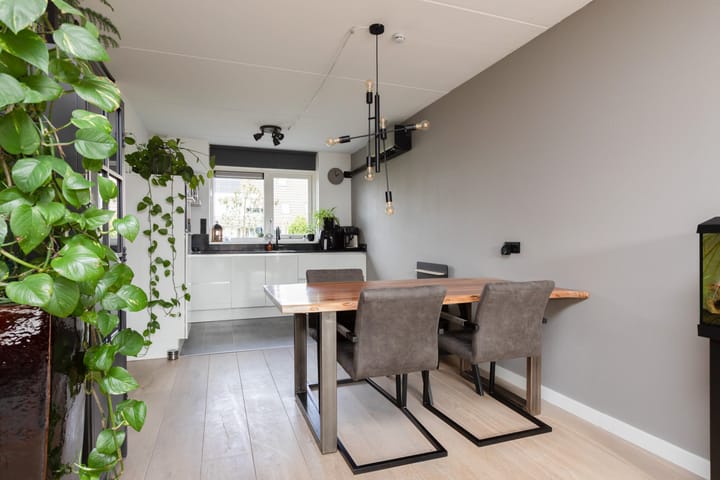 Photo 5 of Zandoogje 8