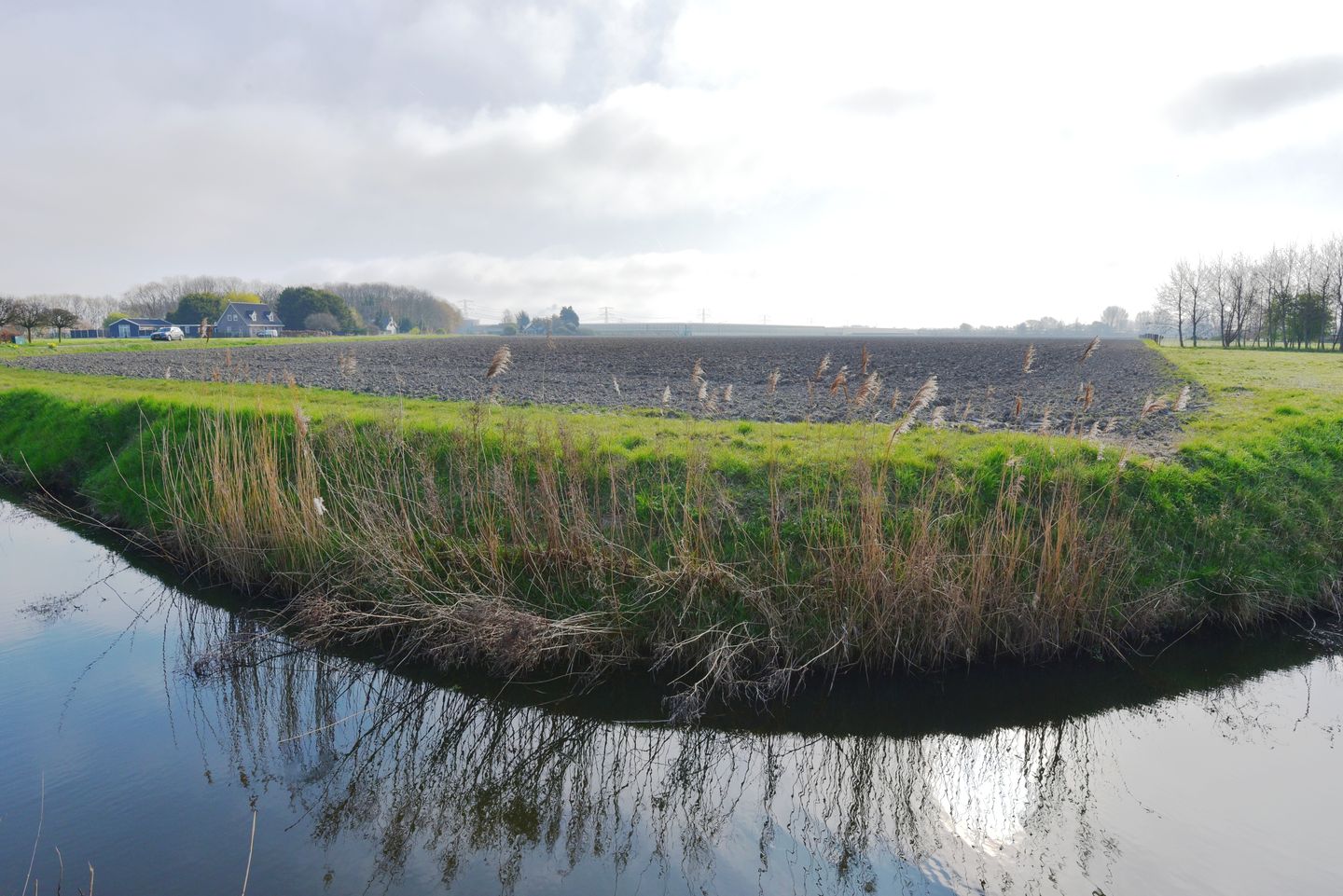 Bekijk foto 2 van Aelbrechtsweg