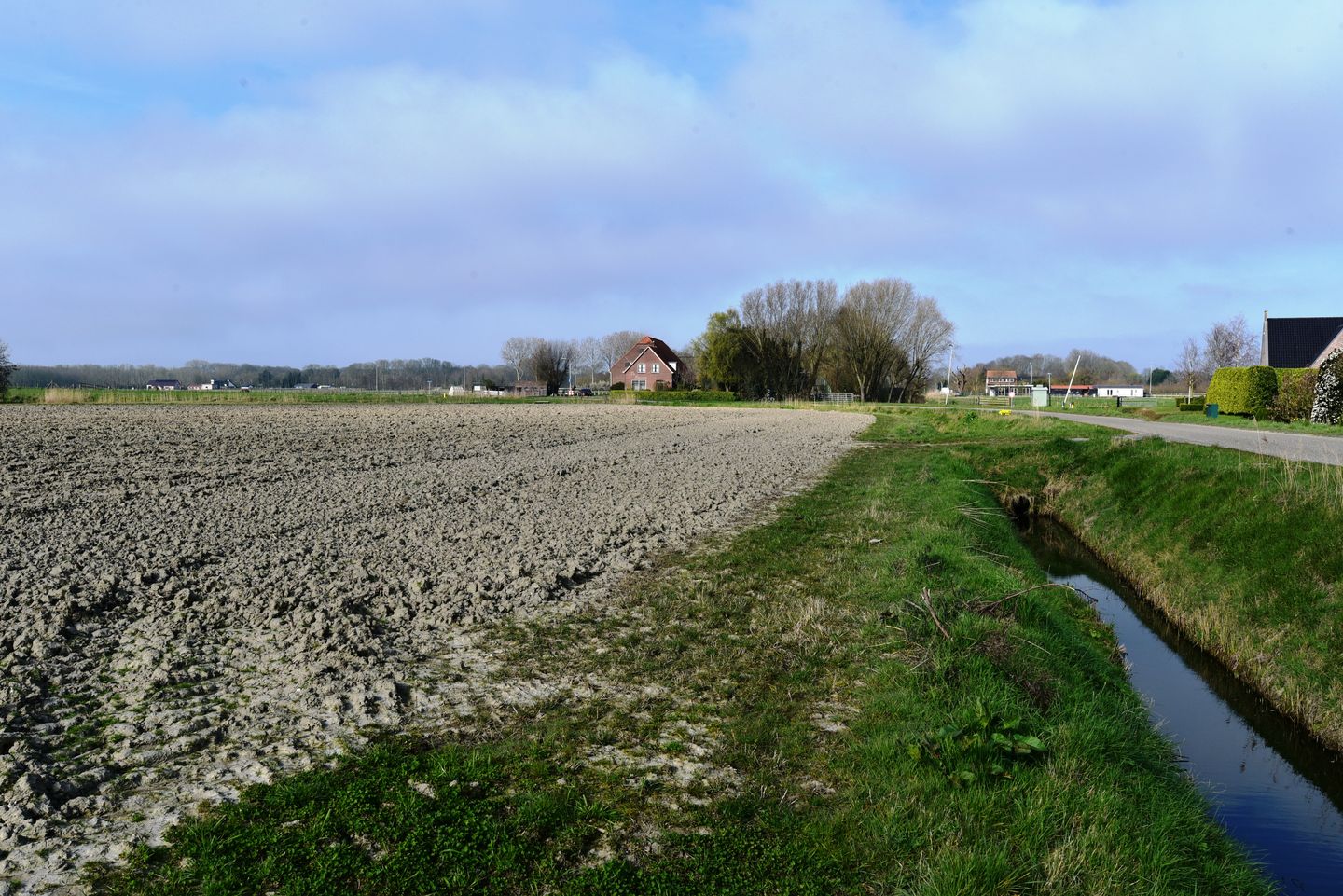 Bekijk foto 3 van Aelbrechtsweg