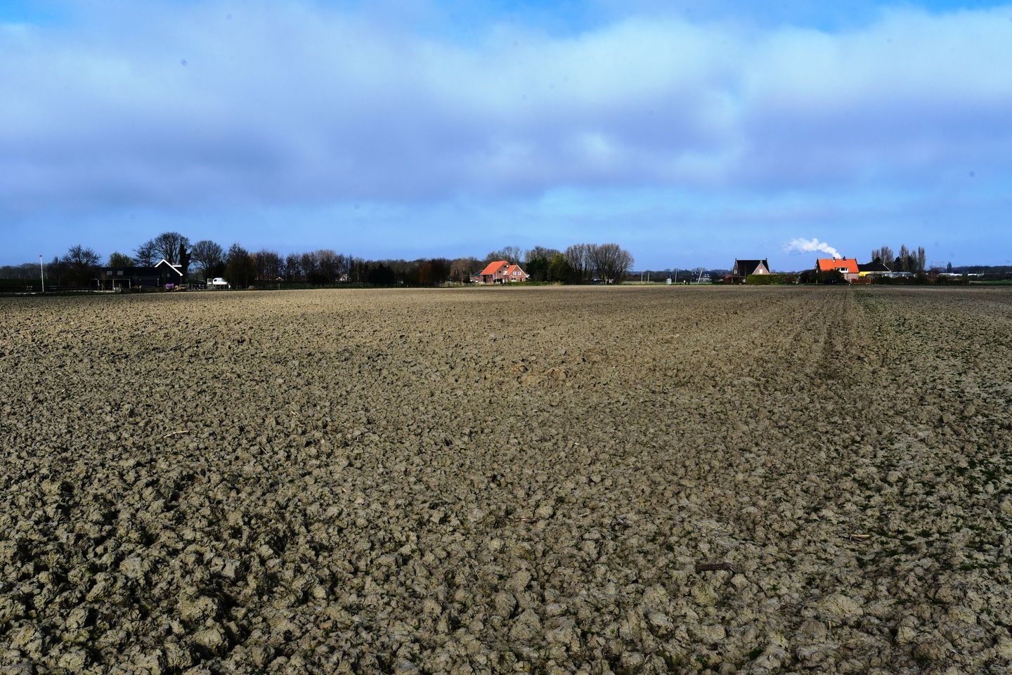 Bekijk foto 5 van Aelbrechtsweg