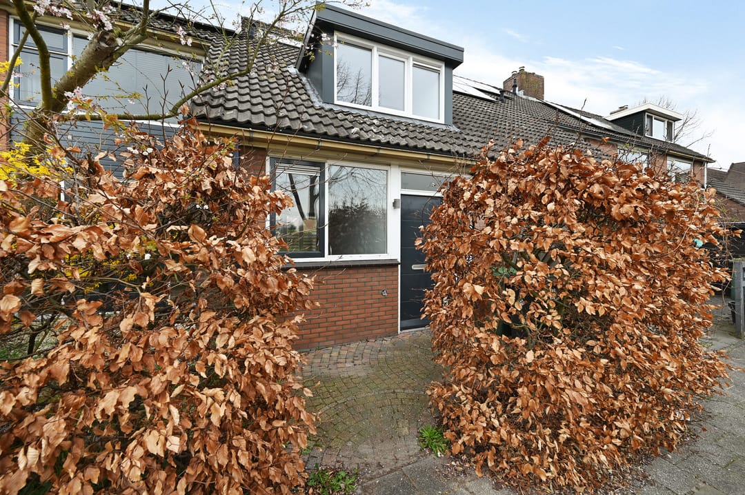 Foto 7 van Aïdaschouw 38