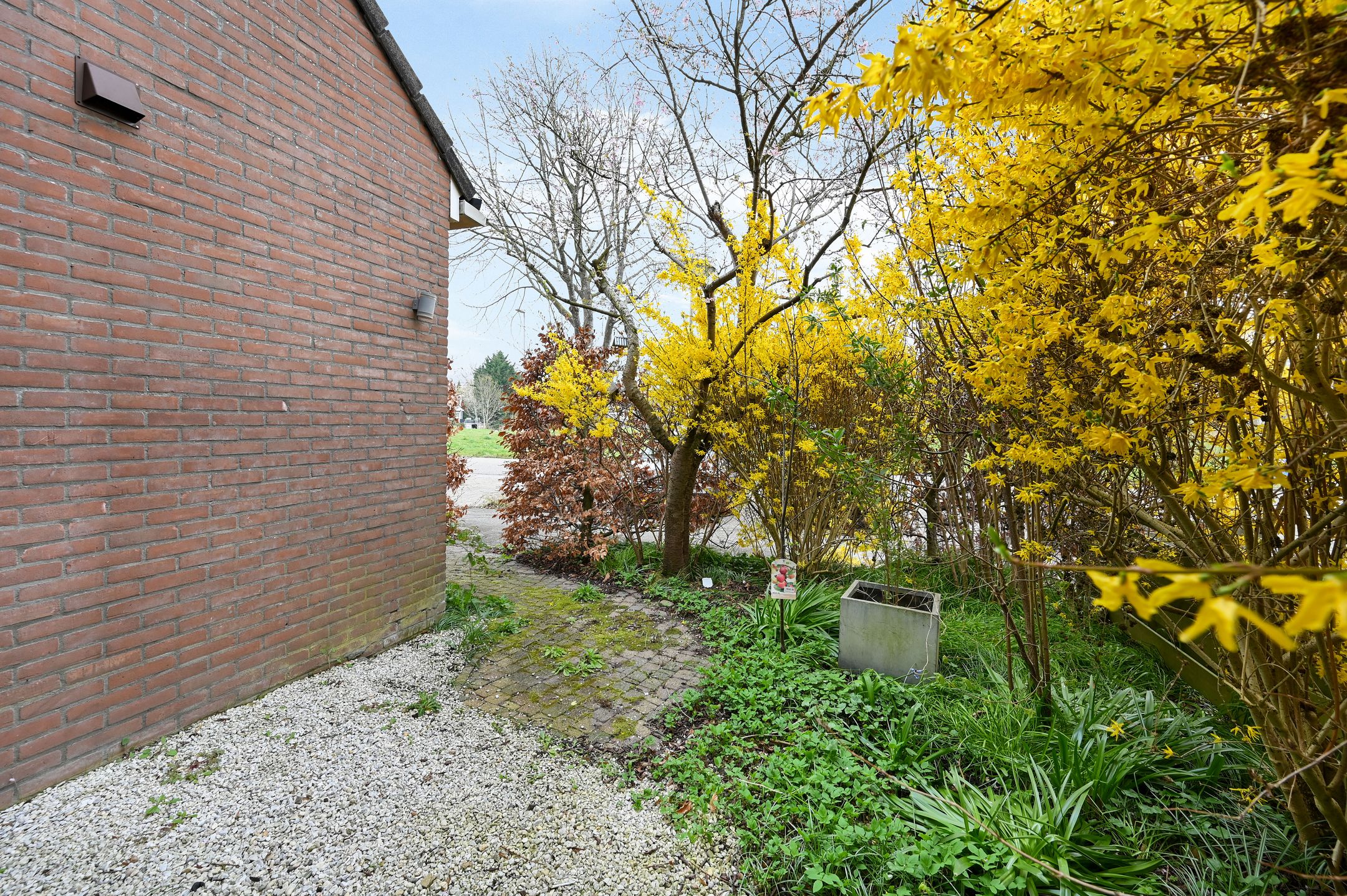 Foto 6 van Aïdaschouw 38