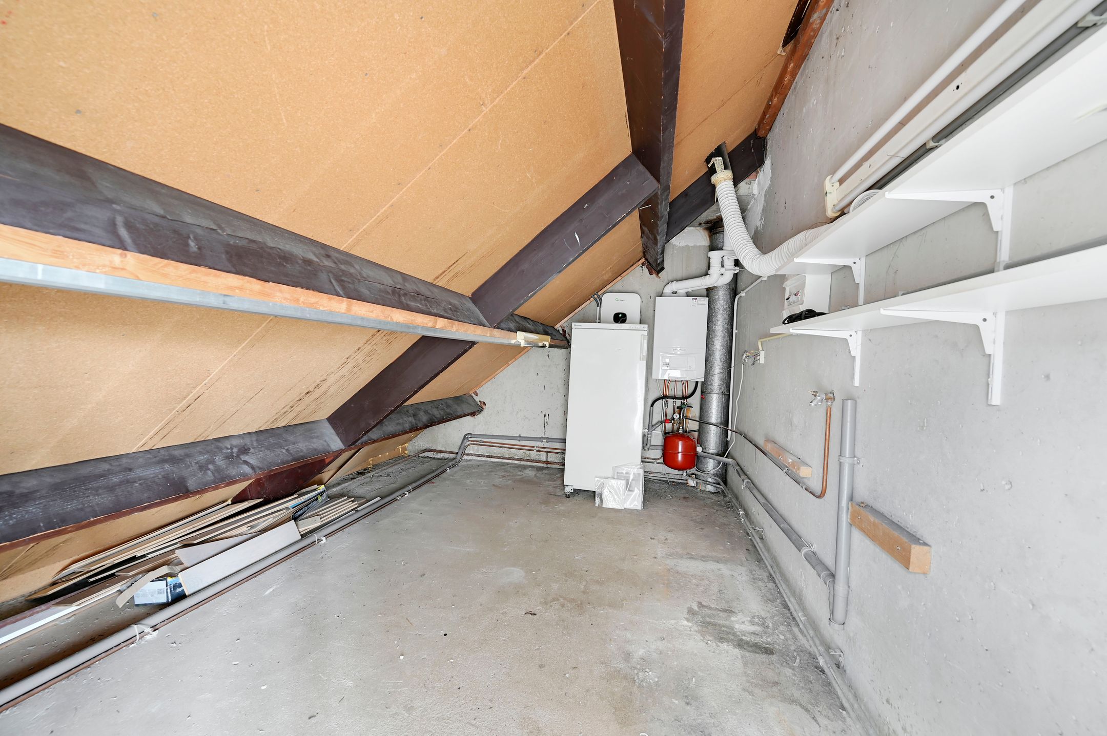 Foto 42 van Aïdaschouw 38