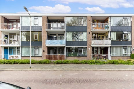 Frank van Borselenstraat thumbnail