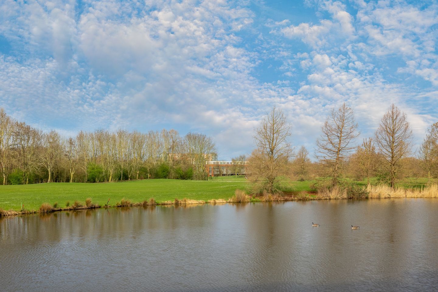 Foto 64 van Zwaenenstede 39