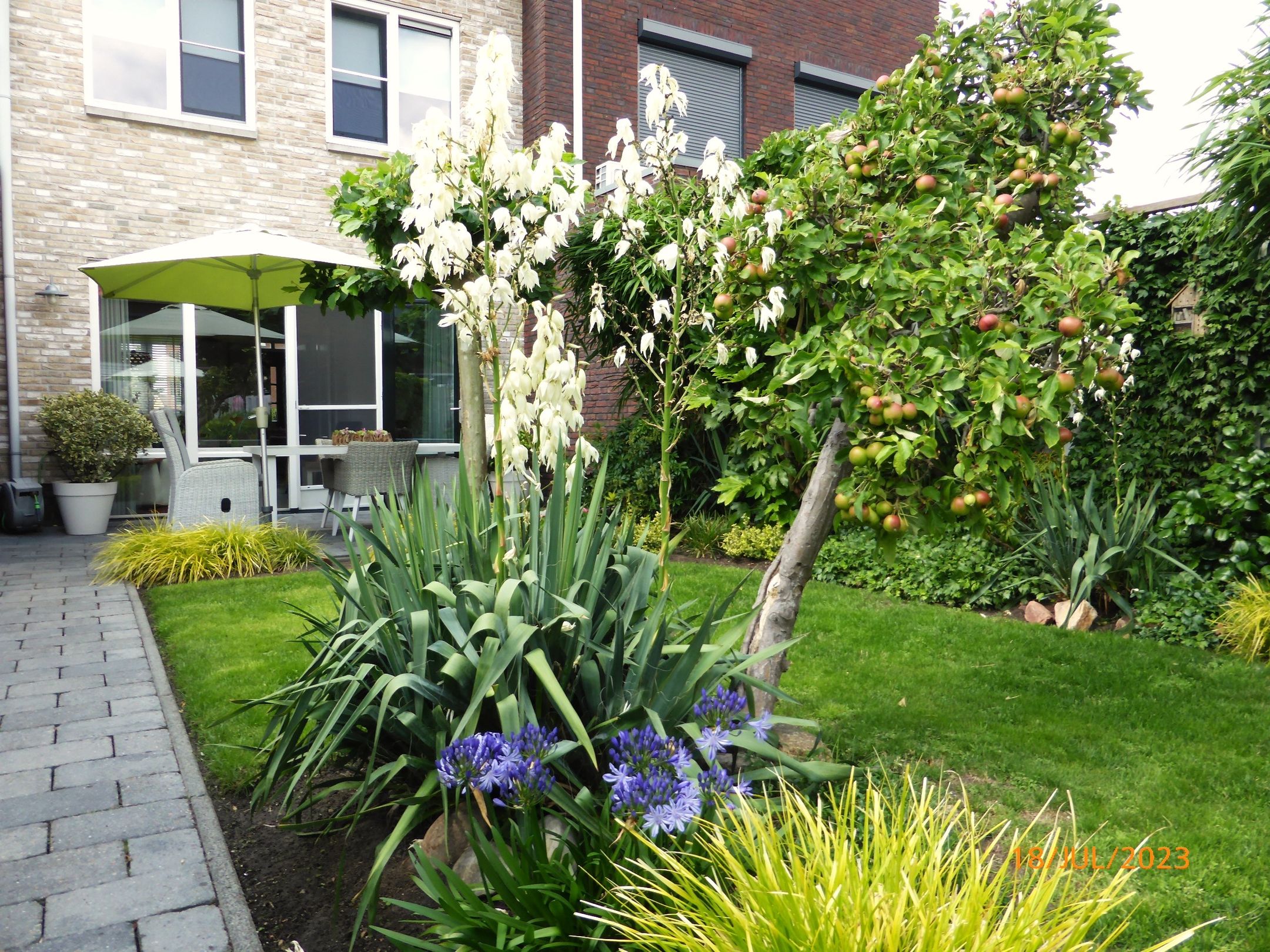 Light terraced house with water views and sunny garden in Rengerswetering — 27