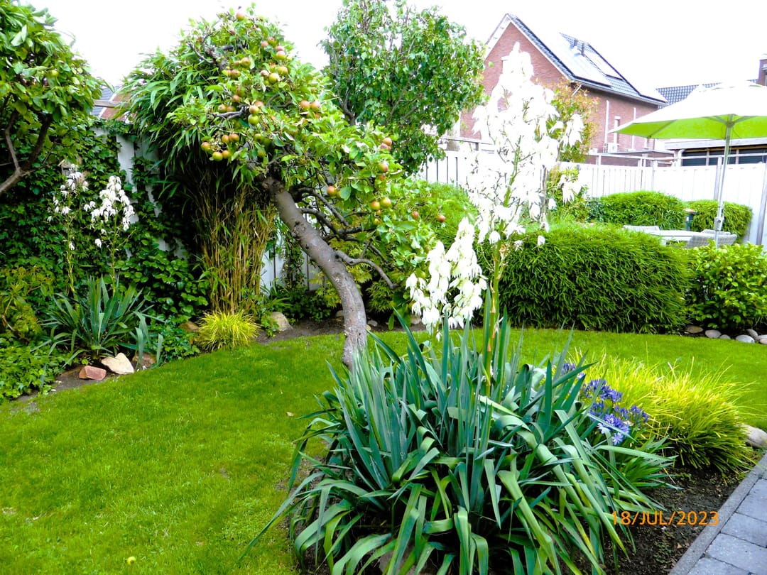 Light terraced house with water views and sunny garden in Rengerswetering — 26