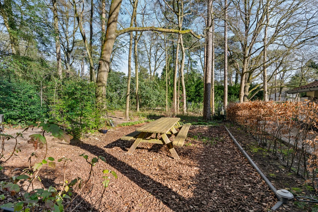 Foto 52 van Gerard Doulaan 29