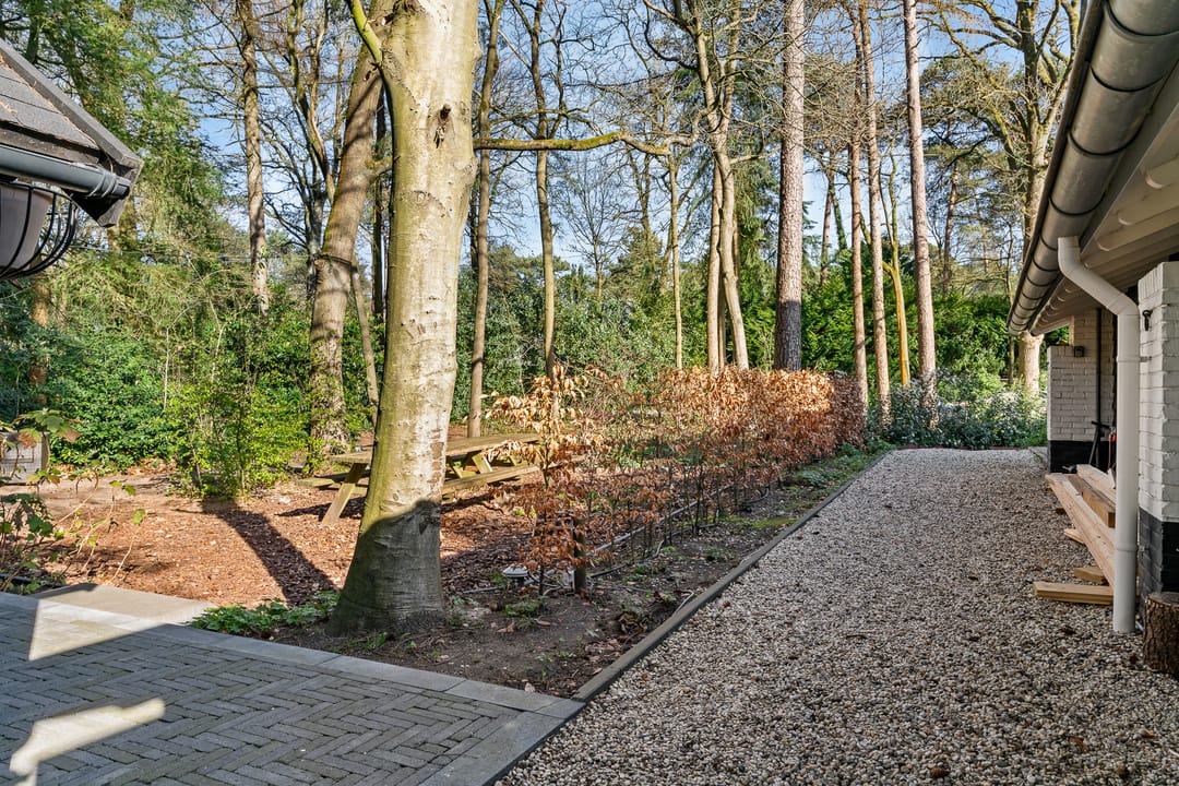 Foto 53 van Gerard Doulaan 29