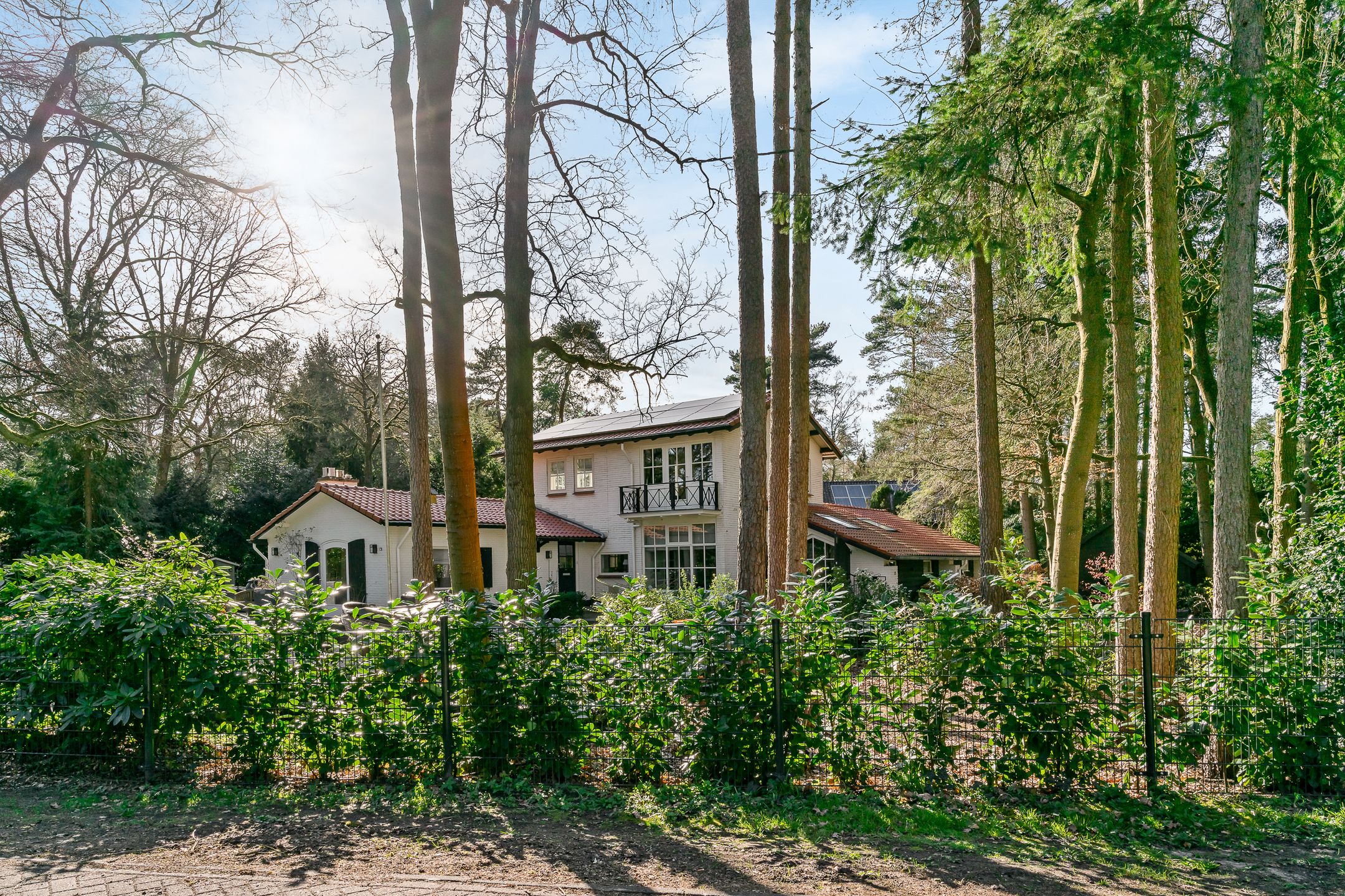 Foto 51 van Gerard Doulaan 29