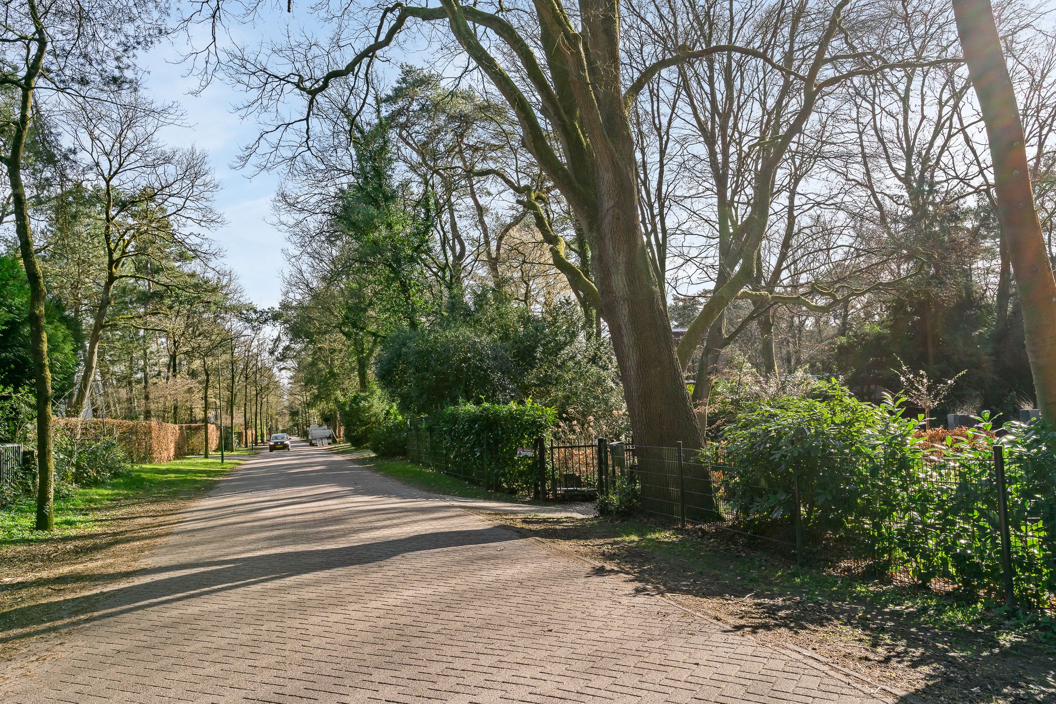 Foto 60 van Gerard Doulaan 29