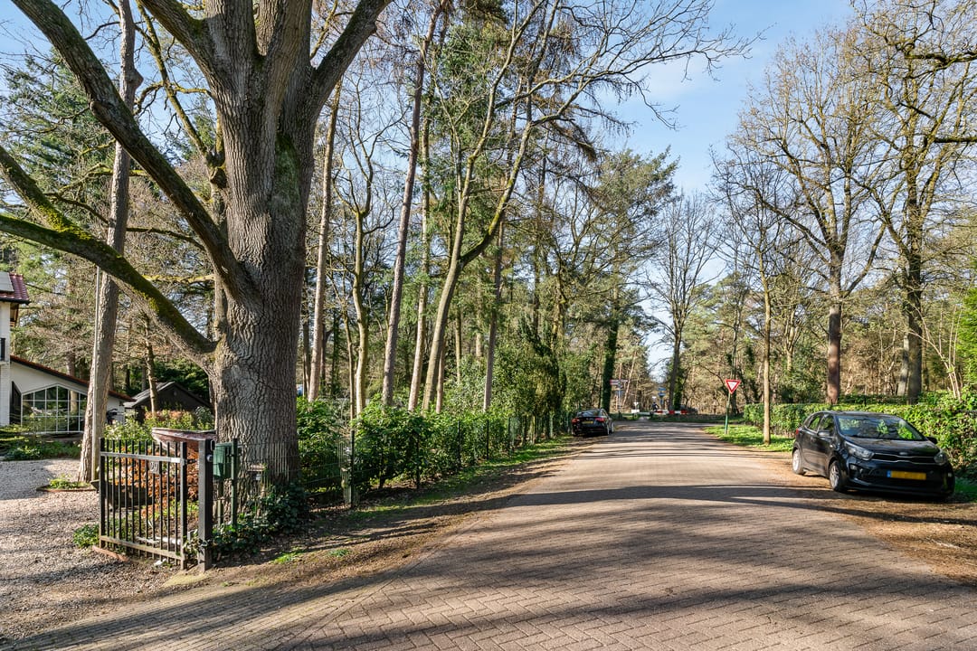 Foto 56 van Gerard Doulaan 29