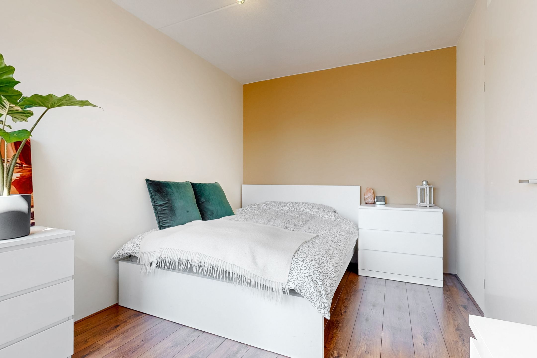 Foto 30 van Agrippinastraat 25