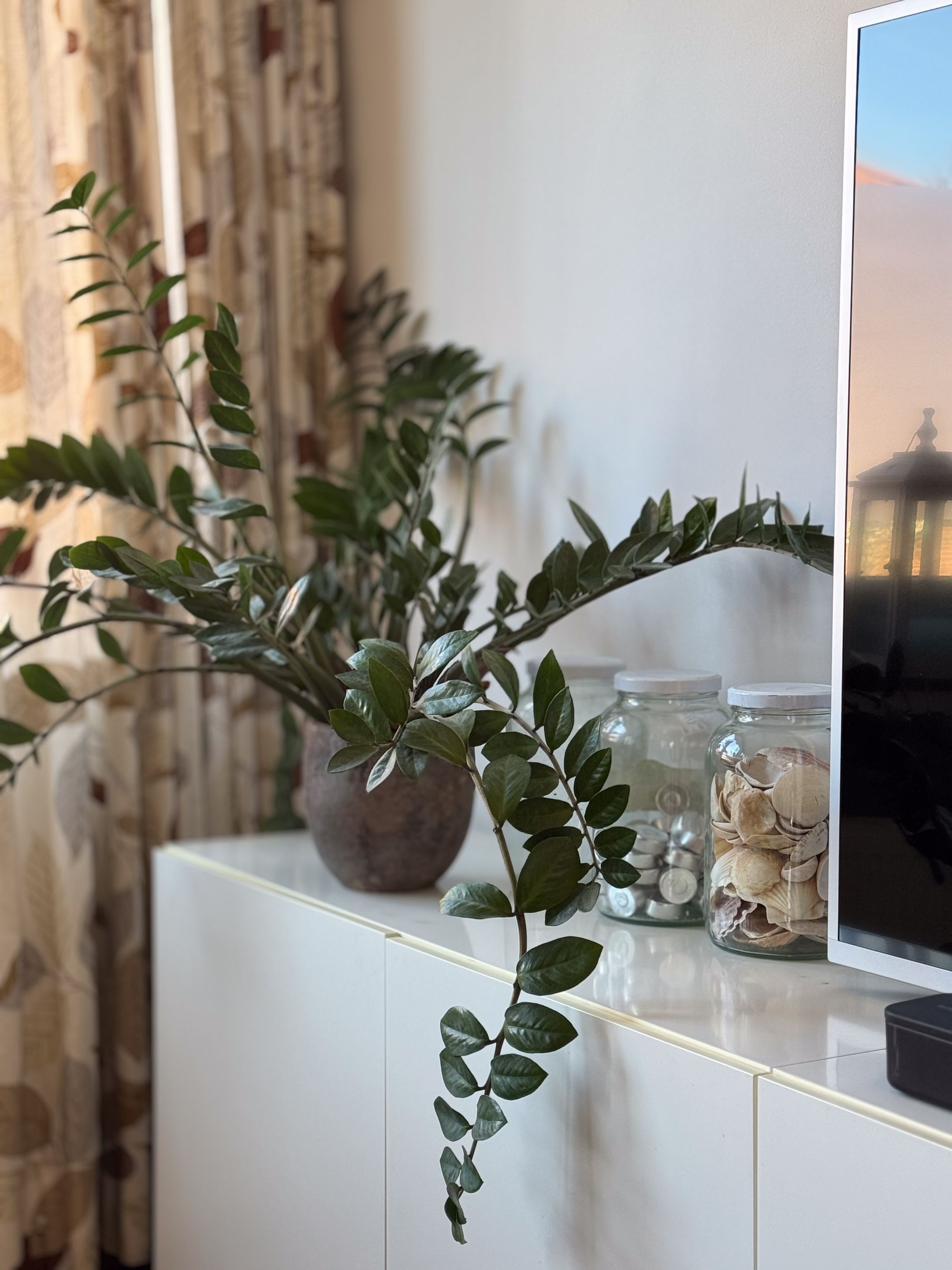 Foto 18 van Agrippinastraat 25