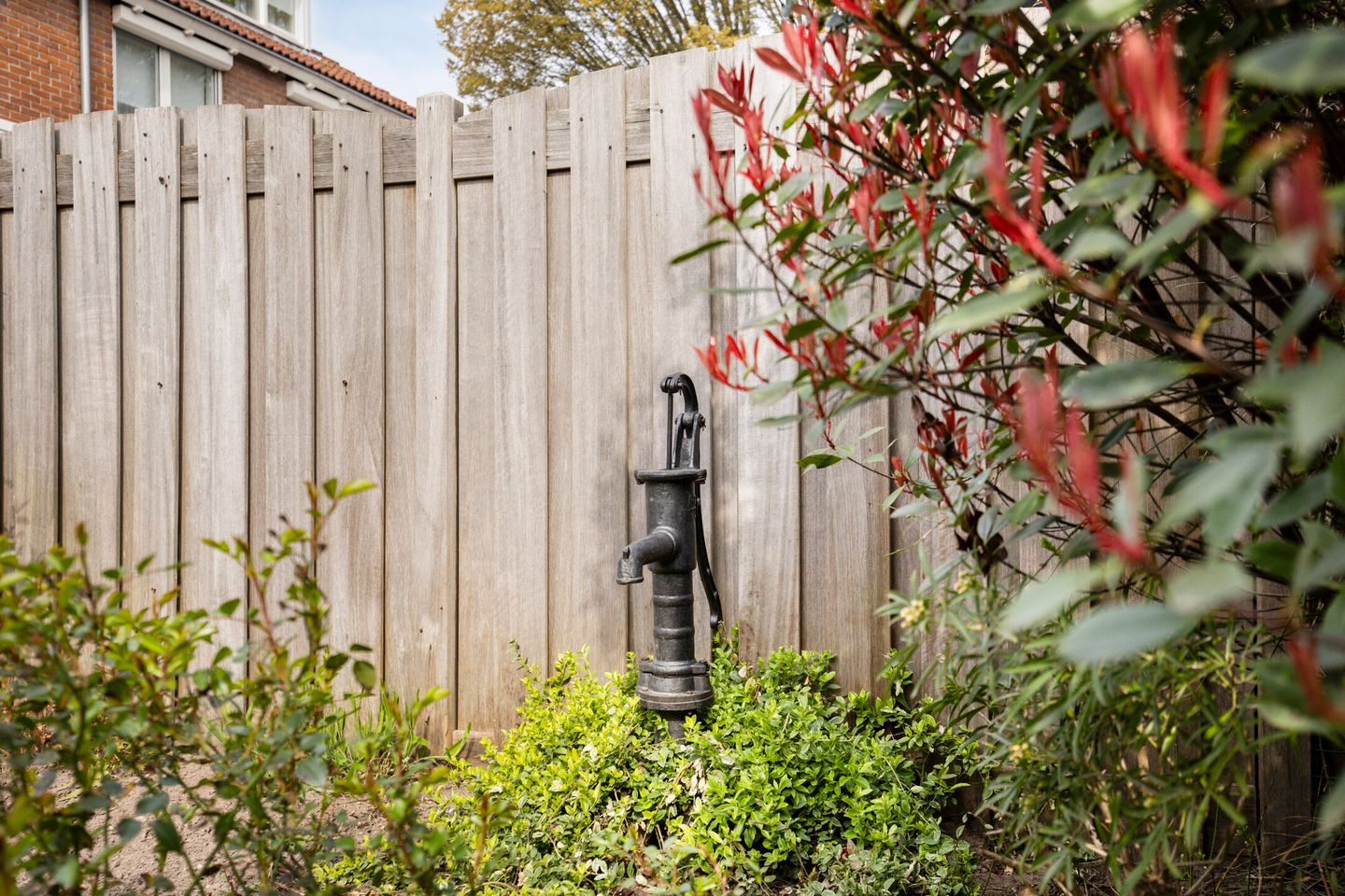 Foto 35 van Dr Cuyperslaan 136