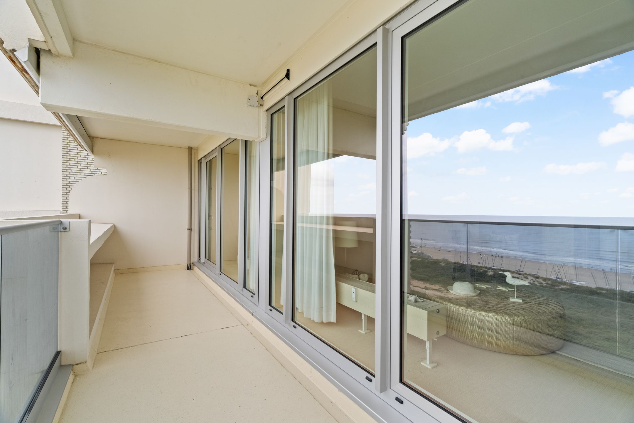 Foto 9 van Duinroos 49