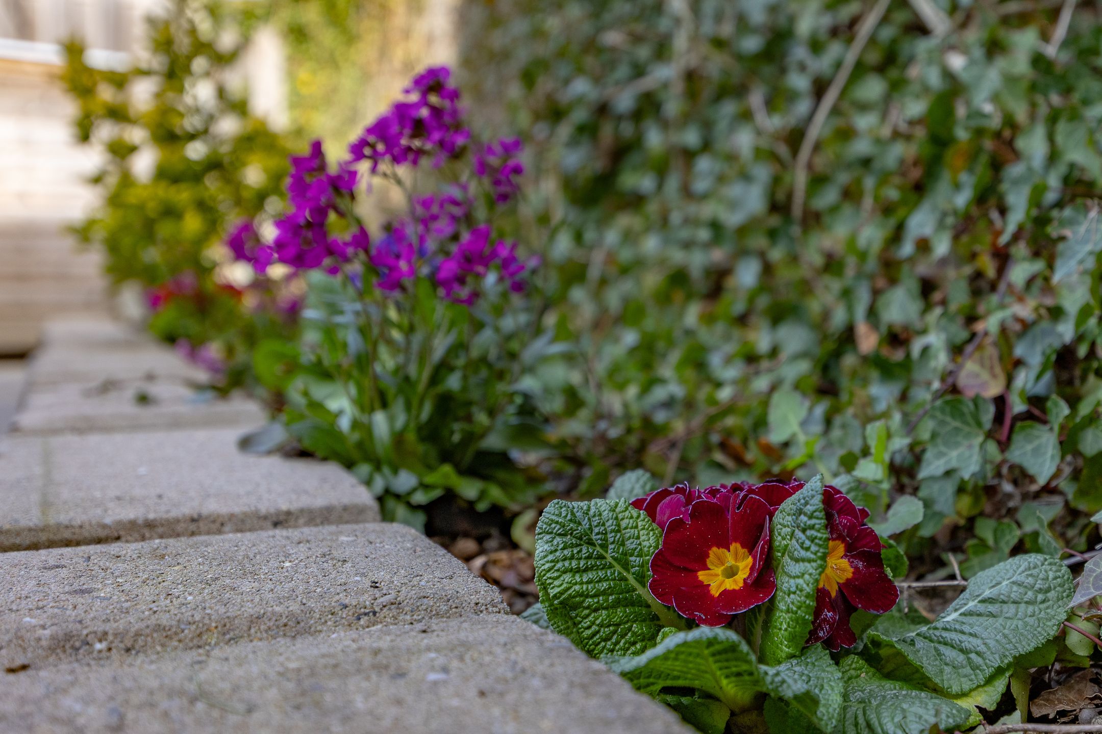 Foto 33 van Laantje van Peel 22