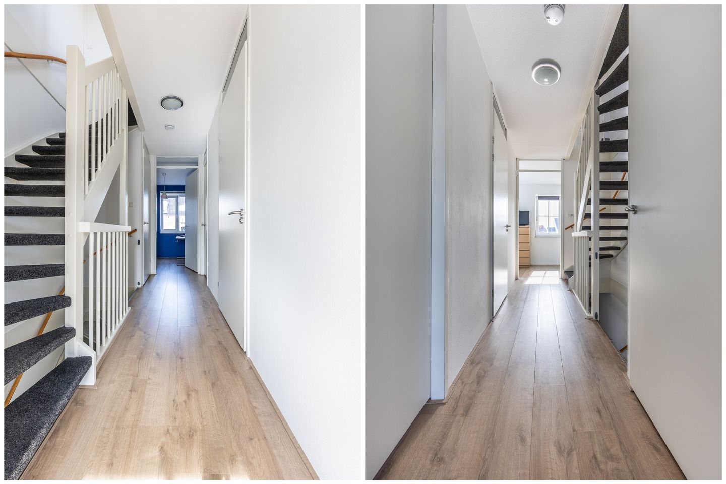 Foto 35 van Laantje van Peel 22