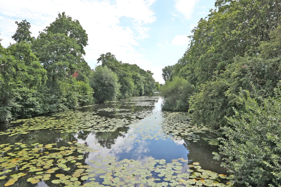 Foto 37 van Pyreneeën 48