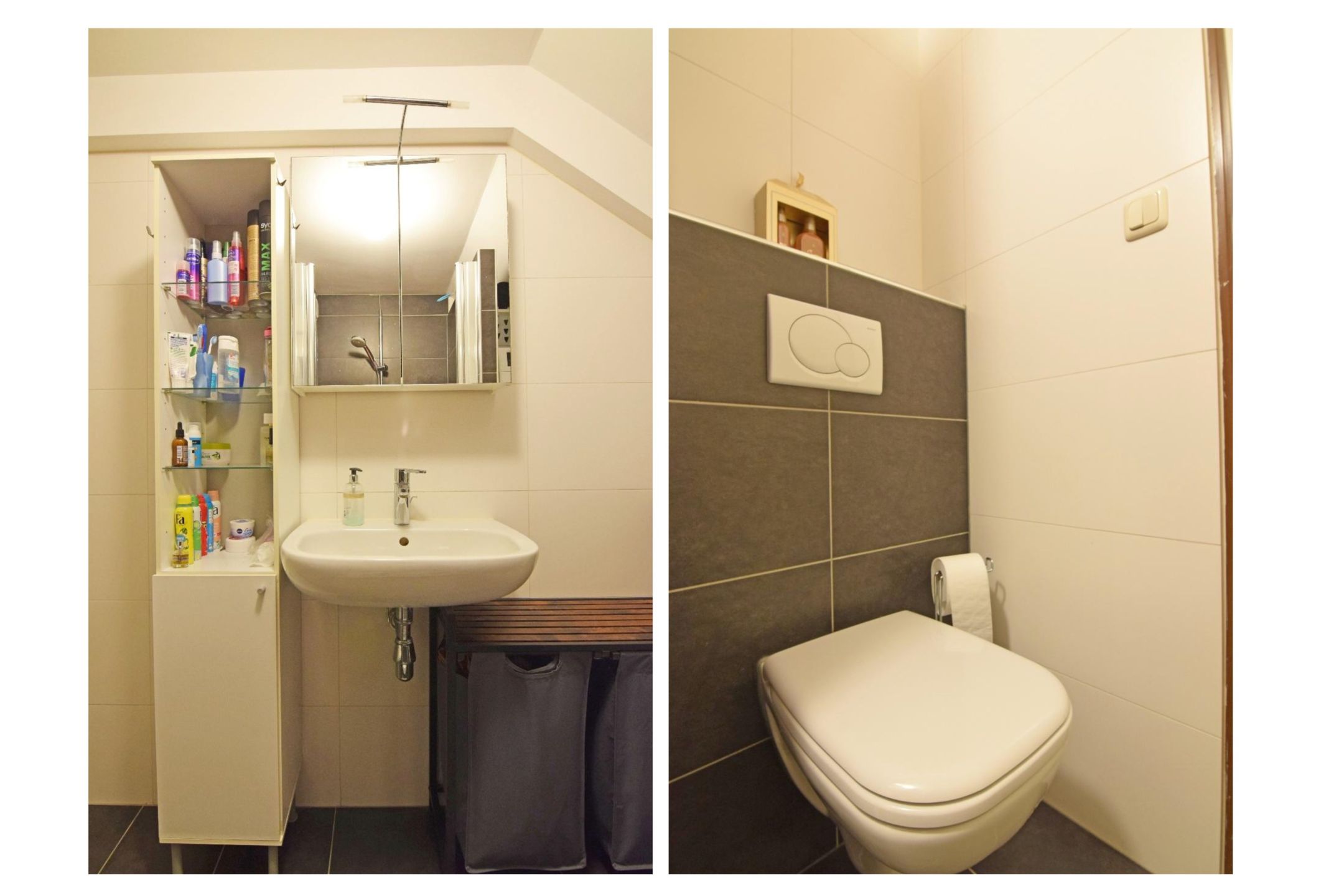 Foto 21 van Pyreneeën 48