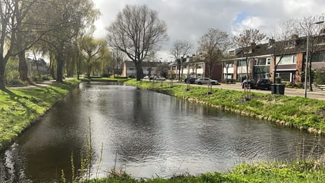 Albrechtstraat thumbnail