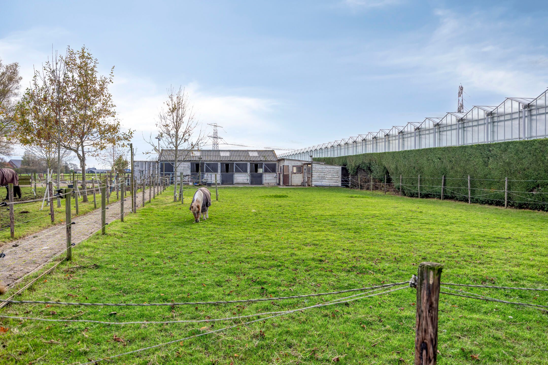 Detached Country Home with Equestrian Facilities on Over 14,000 m² of Land — 30