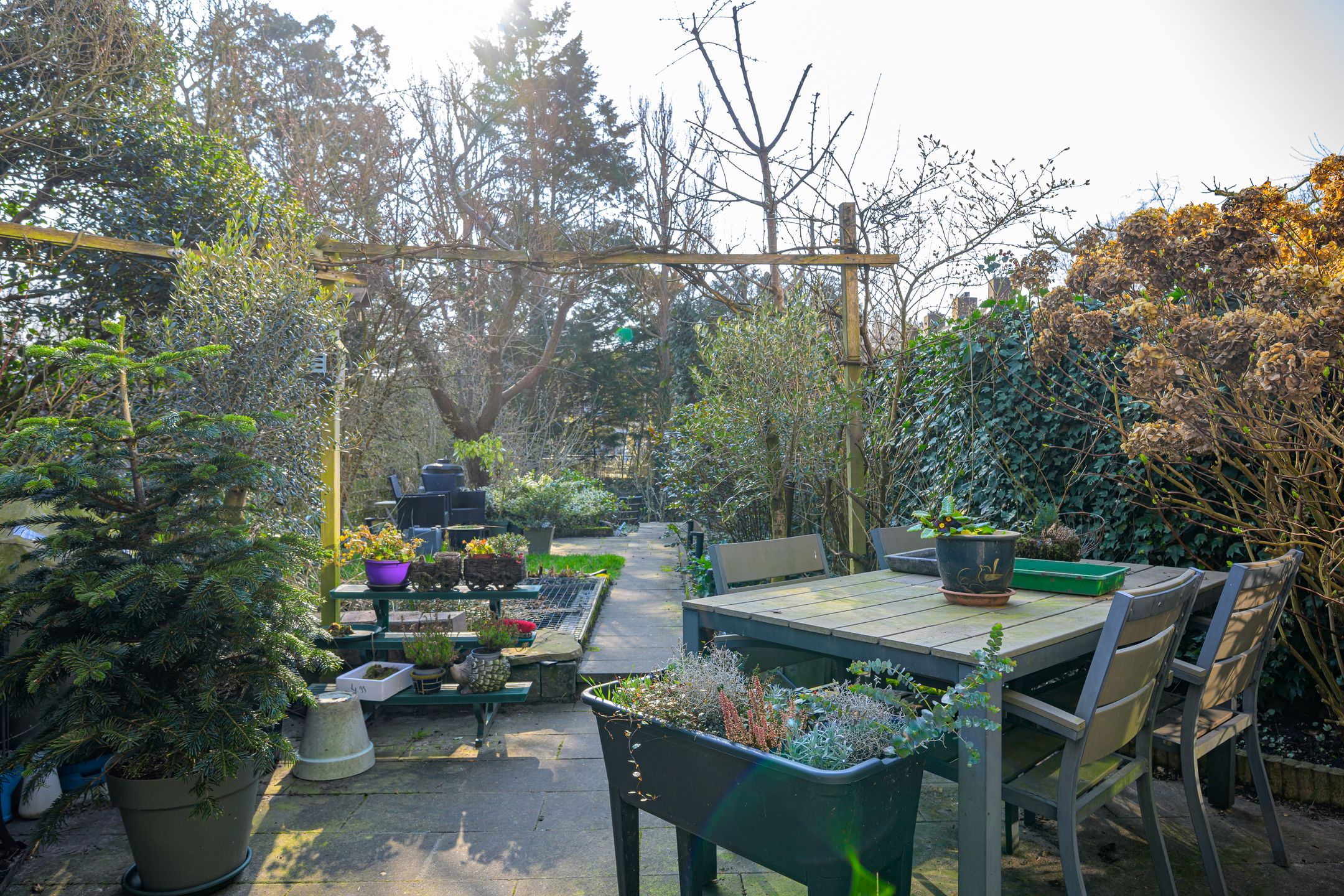 Foto 12 van Spreeuwenlaan 15