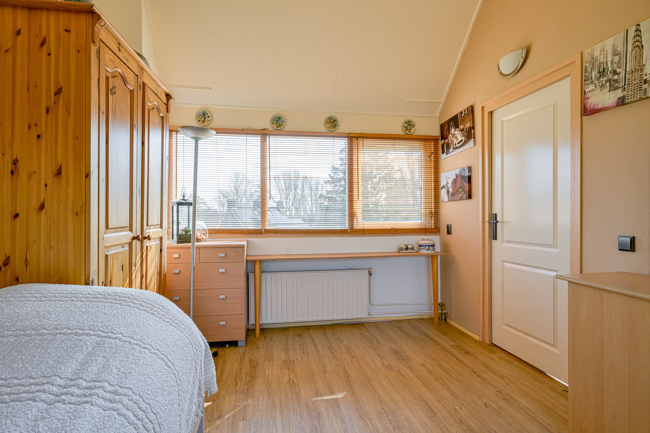 Foto 30 van Spreeuwenlaan 15