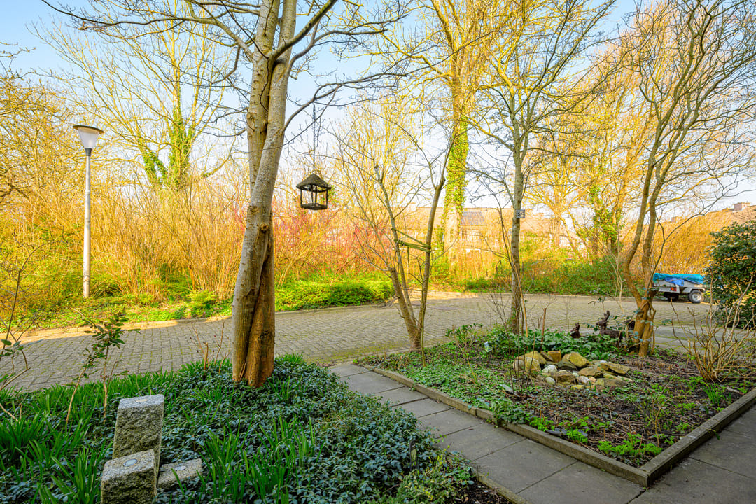 Foto 32 van Spreeuwenlaan 15