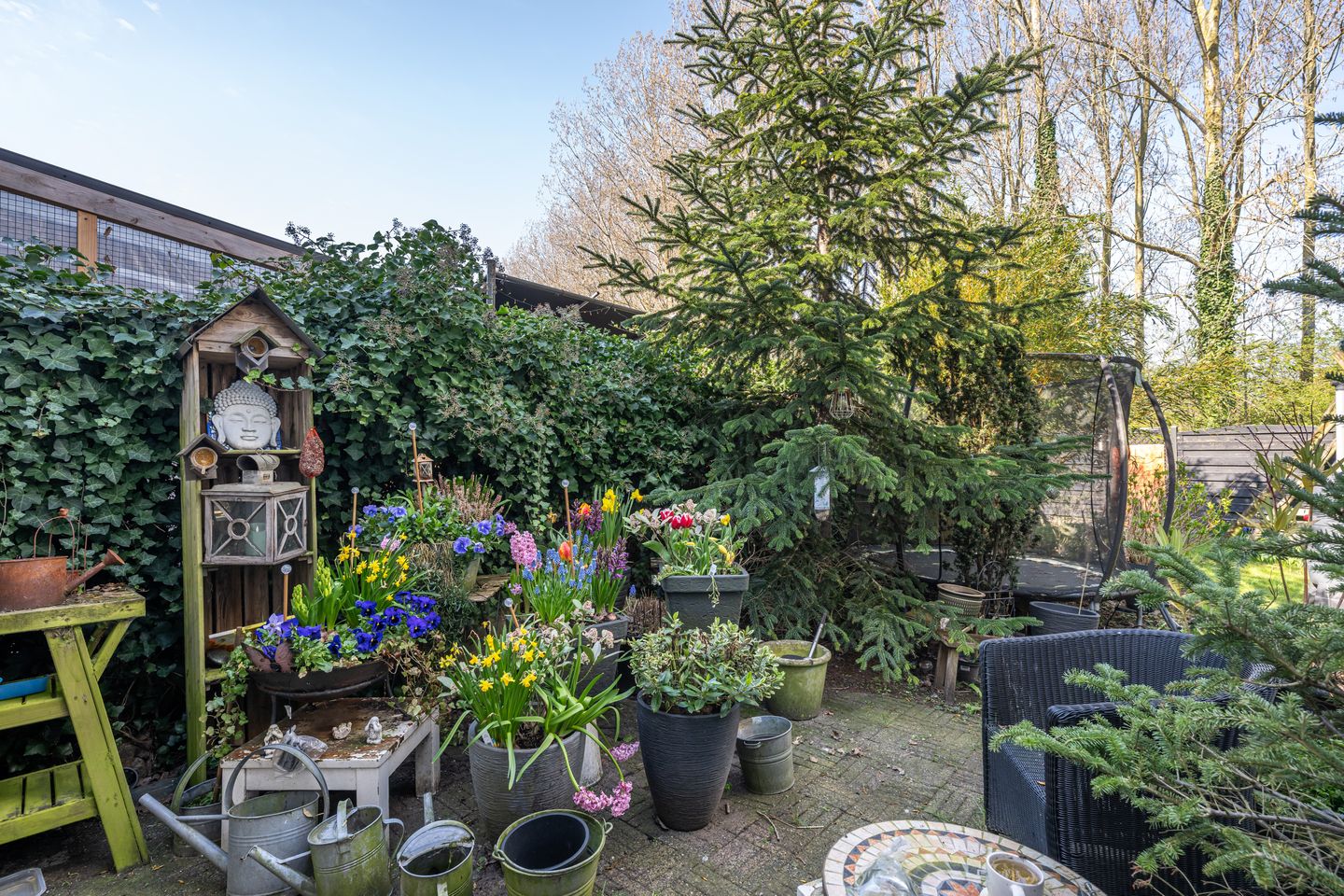 Foto 44 van Dijkhof 27