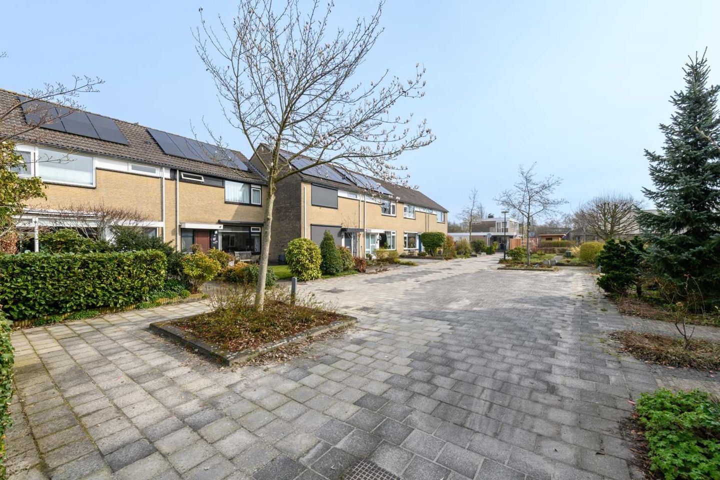 Foto 44 van P.K.Pelstraat 20