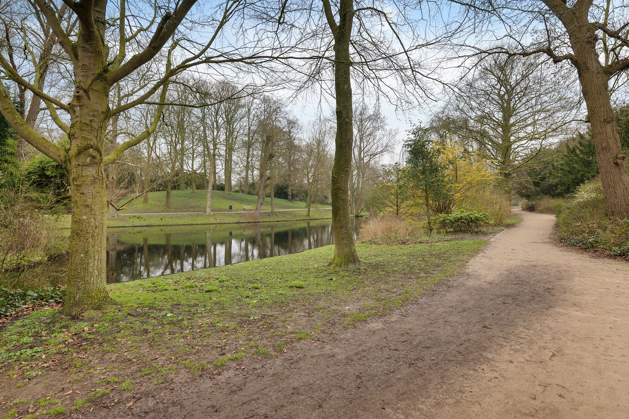 Photo 42 of Selwerderstraat 1